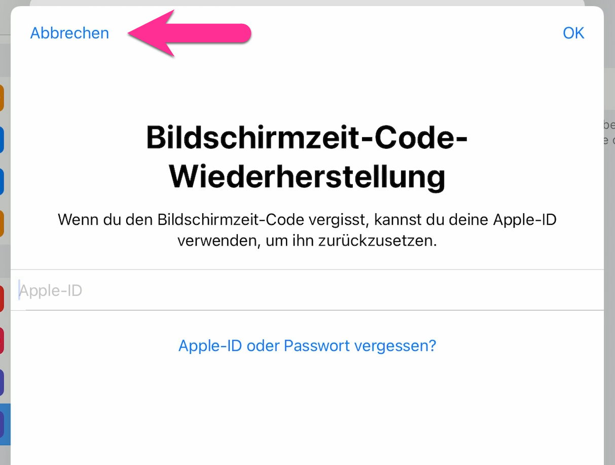 ipad_bildschirmzeit_9.png